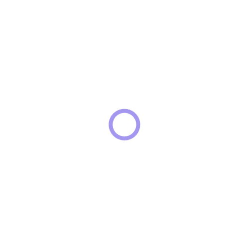 1 X RESET-img