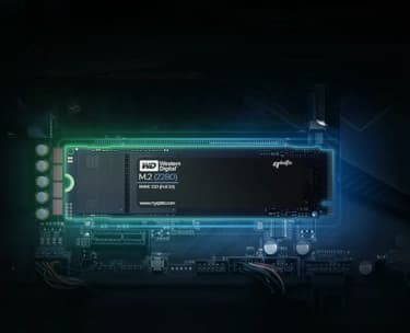 ssd banner
